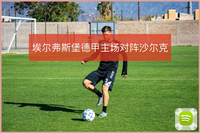 埃尔弗斯堡德甲主场对阵沙尔克
